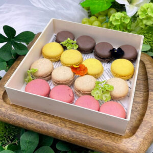 🌱Macarons 20pcs