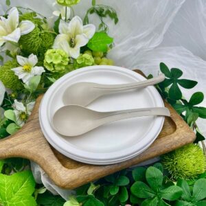 Serving Spoon